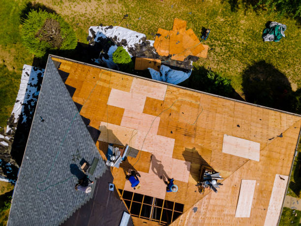 Best Flat Roof Repair Services  in Buckhead Ridge, FL