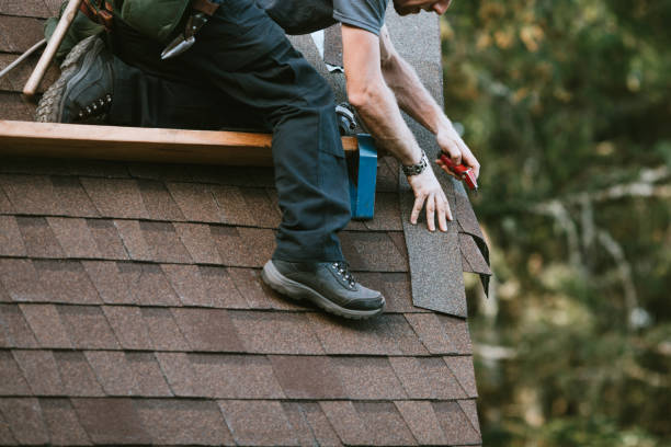 Best Roof Gutter Cleaning  in Buckhead Ridge, FL