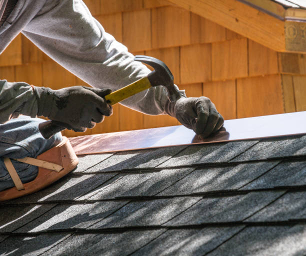 Best Metal Roofing Contractor  in Buckhead Ridge, FL